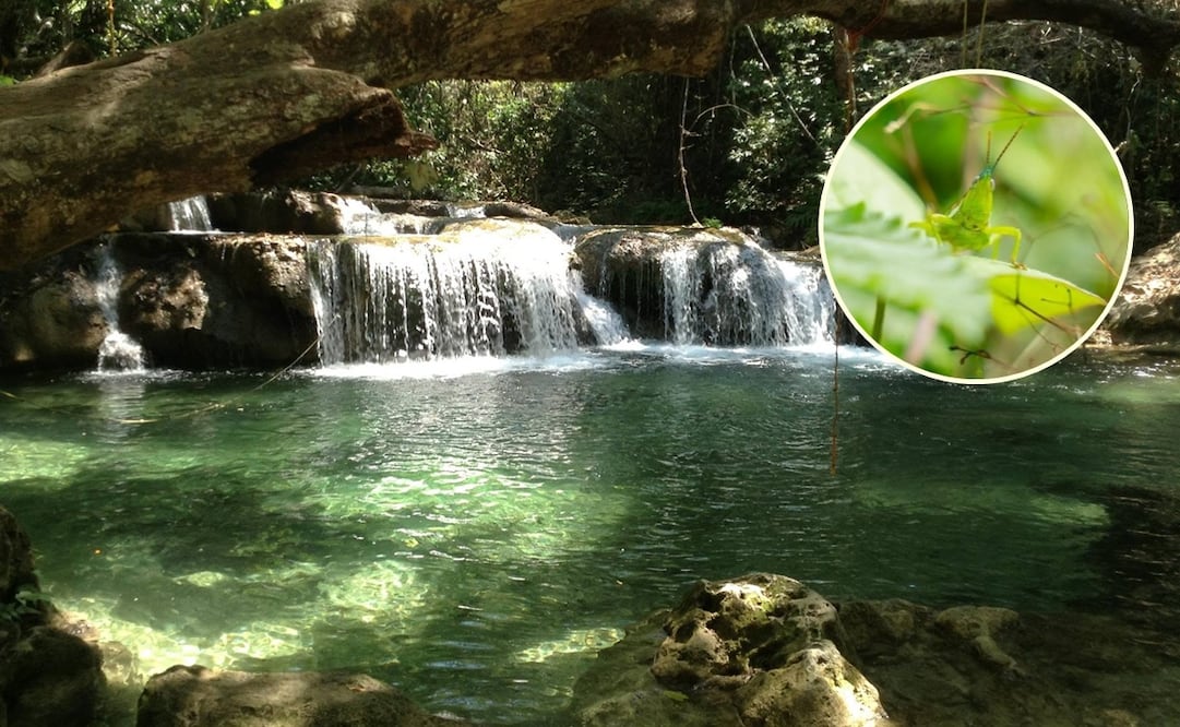 San Miguel del Puerto, Oaxaca. Foto: FB@San Miguel Del Puerto "Tierra de cascadas"