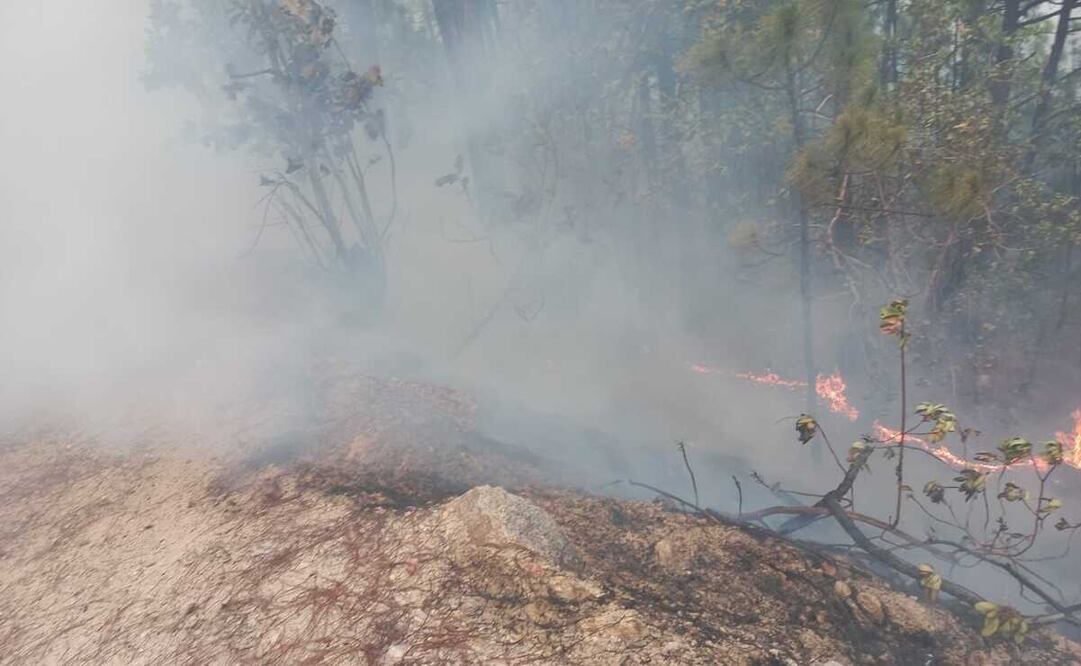 Por incendio en la Mixteca de Oaxaca, cortina de humo alcanza mil hectáreas; hay 30 casas en riesgo. Fotos: Especiales