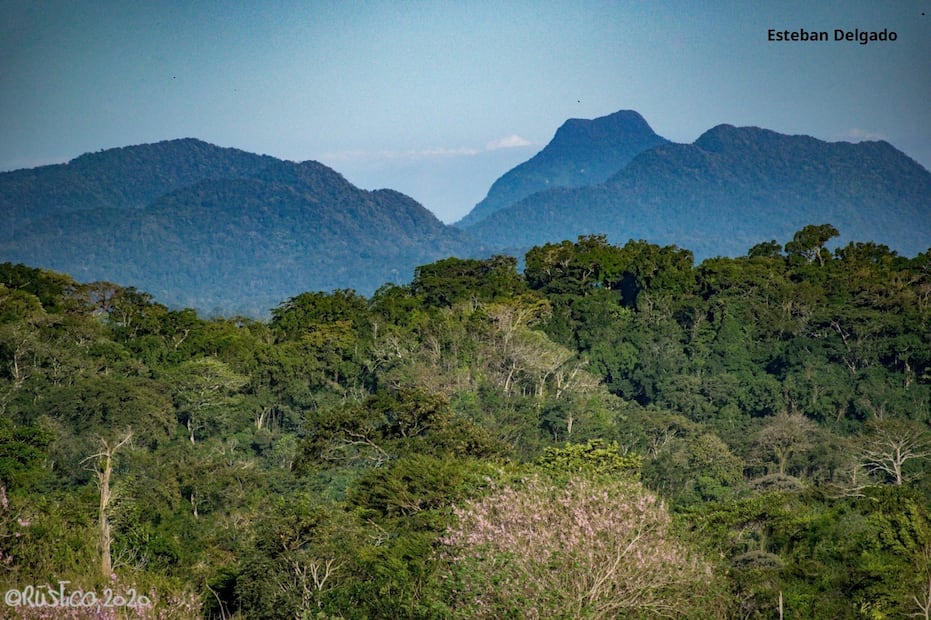 Foto: Archivo CONANP
