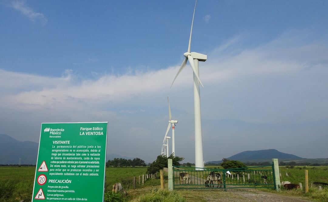 Parques eólicos de Iberdrola en Oaxaca. Foto: Especial