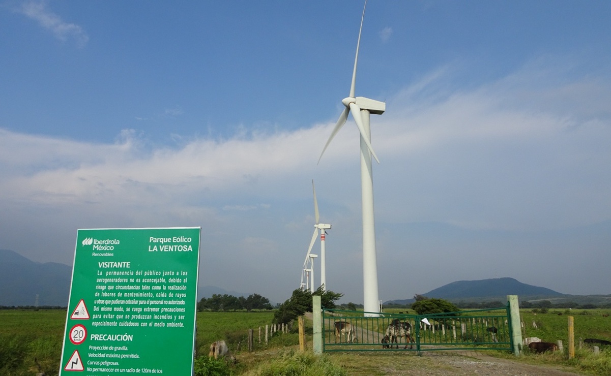 Parques eólicos de Iberdrola en Oaxaca. Foto: Especial