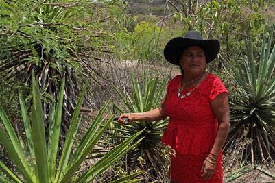 La reina del mezcal resguarda tradición en Oaxaca