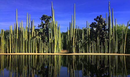 ¿Cuánto cuesta la entrada y el recorrido al Jardín Etnobotánico de Oaxaca?