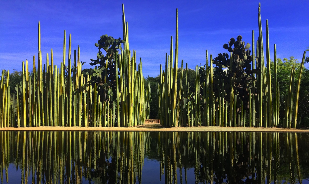 Jardín Etnobotánico. Foto: JEBOax.