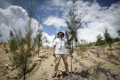 El Quijote oaxaqueño que impulsa la reforestación