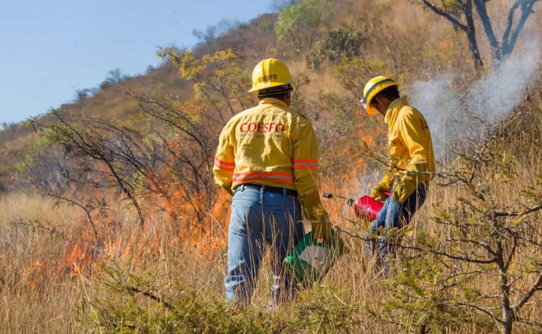 Con quema controlada y líneas cortafuegos, buscan proteger de incendios Zona Arqueológica de Monte Albán. Fotos: Especiales