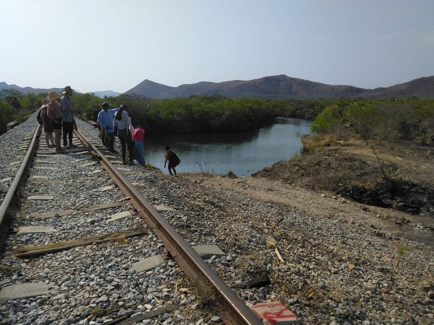 Deforestación, compromisos incumplidos e inconformidad, provoca la modernización de la línea K del Tren Transístmico. Foto: Especial