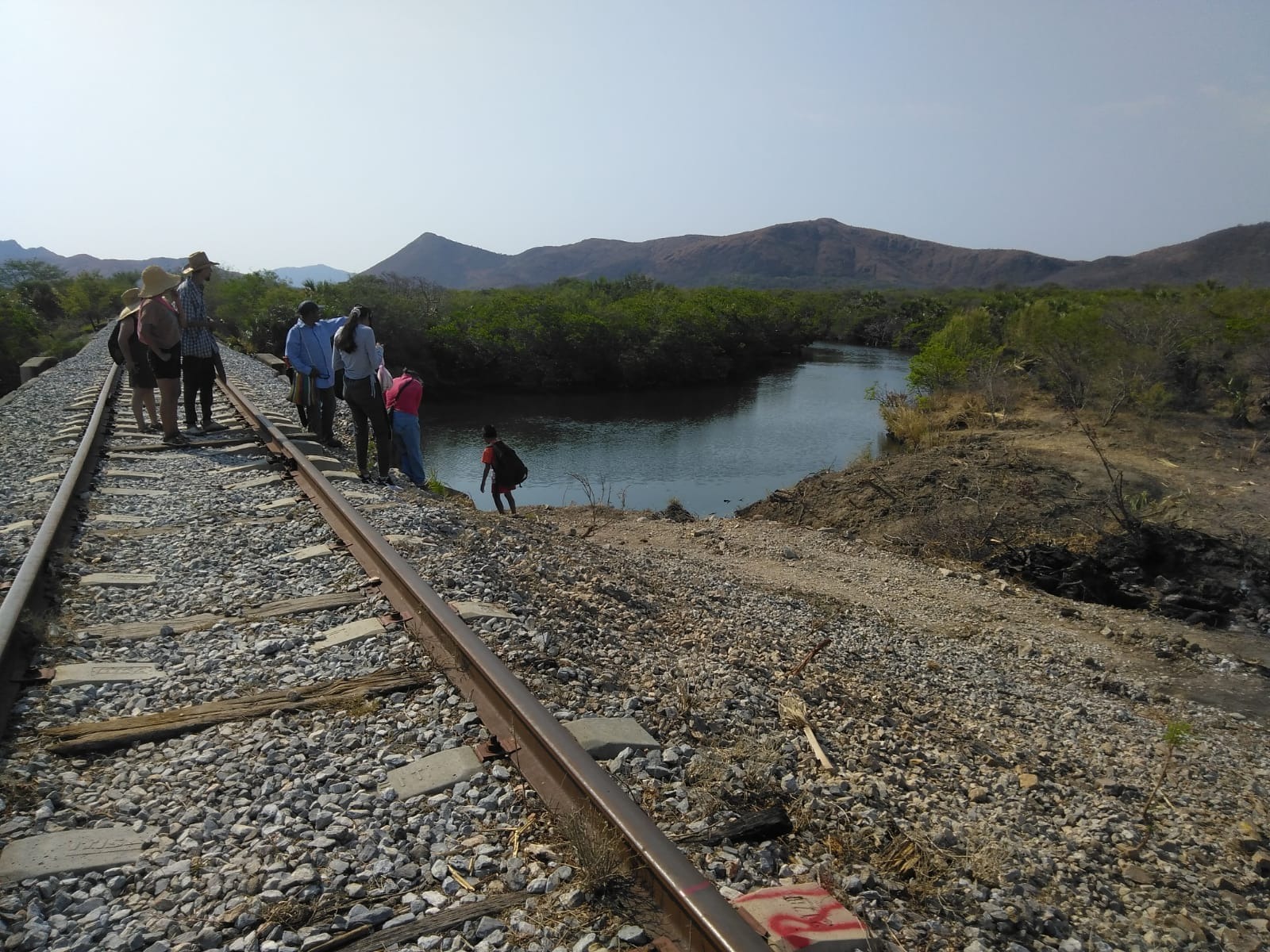 Deforestación, compromisos incumplidos e inconformidad, provoca la modernización de la línea K del Tren Transístmico. Foto: Especial
