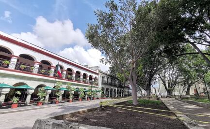 Ambientalistas preparan plan integral para arbolado en la capital, por presunto lucro de espacios