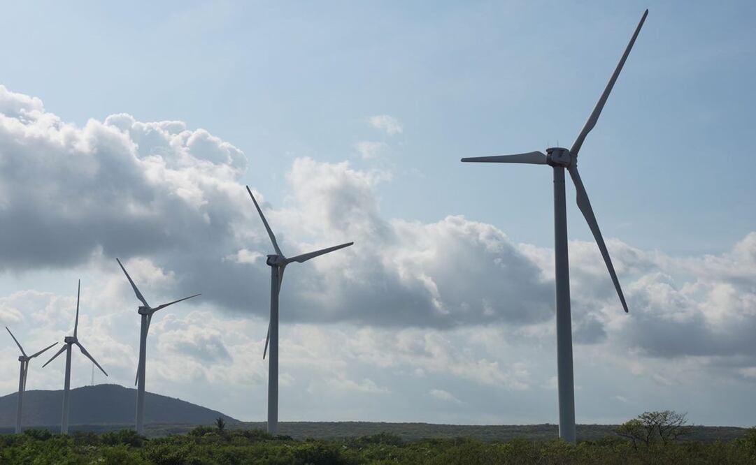 Tribunal da revés a parque eólico Gunna Sicuarú en Oaxaca; ordena no privar a comuneros de sus tierras
