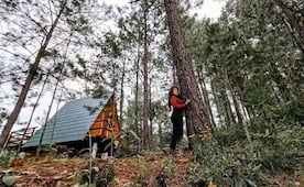 Este rincón de la Sierra Sur de Oaxaca se llena de sabor con el Festival del Hongo