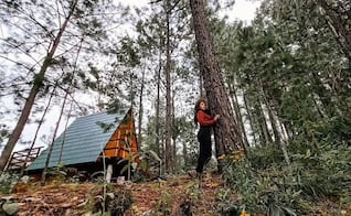 Este rincón de la Sierra Sur de Oaxaca se llena de sabor con el Festival del Hongo