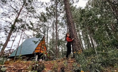 Este rincón de la Sierra Sur de Oaxaca se llena de sabor con el Festival del Hongo