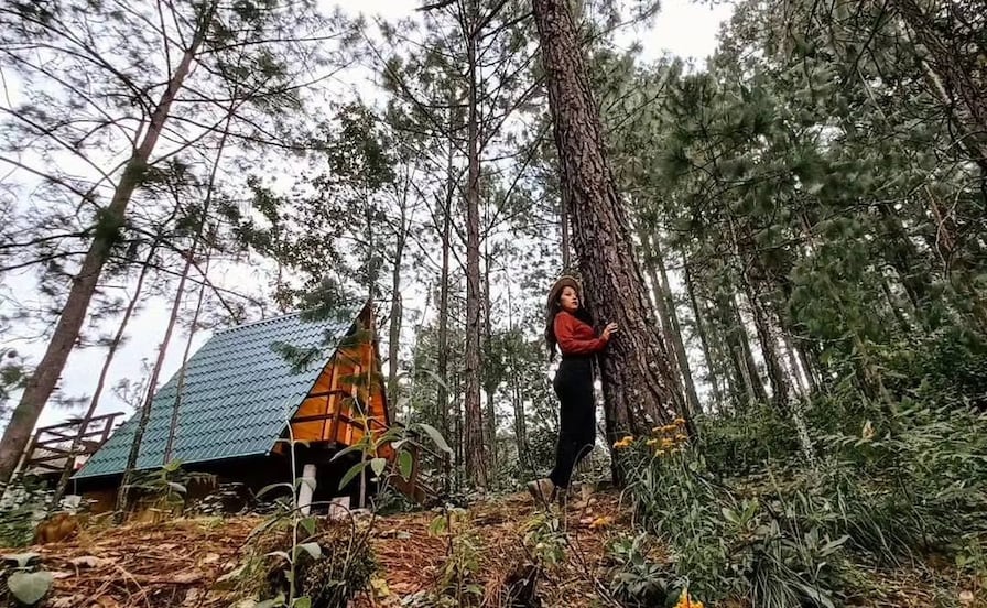 Este rincón de la Sierra Sur de Oaxaca se llena de sabor con el Festival del Hongo