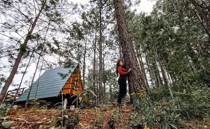 Este rincón de la Sierra Sur de Oaxaca se llena de sabor con el Festival del Hongo
