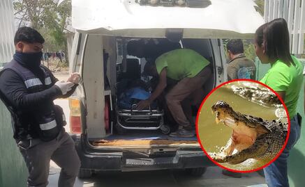 Niño de 8 años es atacado por un cocodrilo en Pinotepa Nacional, Oaxaca