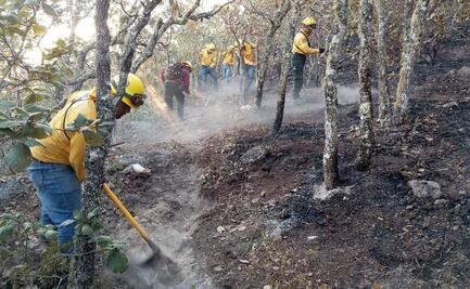“Un incendio forestal es un monstruo”: Mitla y otras comunidades de Oaxaca suman ayuda a Quiaviní