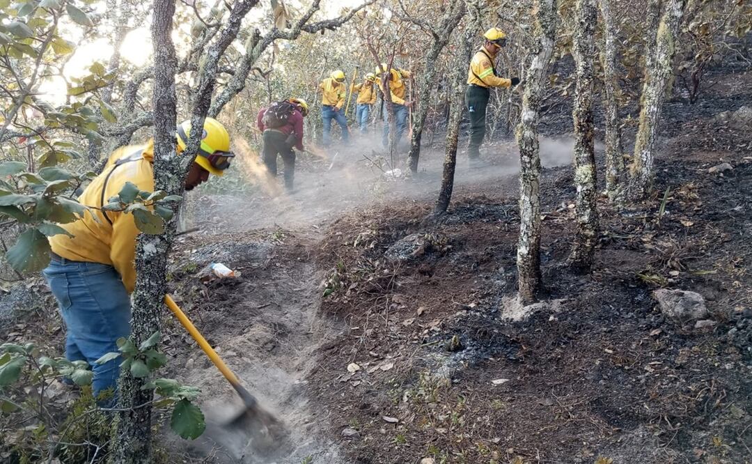 “Un incendio forestal es un monstruo”: Mitla y otras comunidades de Oaxaca suman ayuda a Quiaviní. Foto: Coesfo