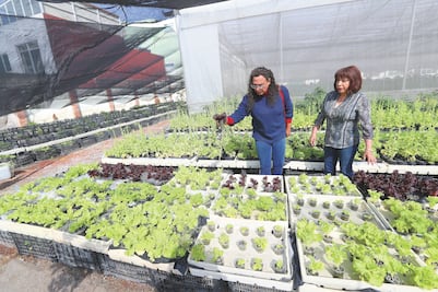 “Hidroponia, esperanza de vida que nació de la basura”