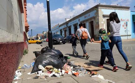 Oaxaca busca sitio para la basura: lanzan convocatoria para Centro de Revalorización de Residuos Sólidos