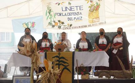 En el Día Estatal en Defensa del Maíz Nativo de Oaxaca, exigen prohibir agrotóxicos y respeto a la autonomía