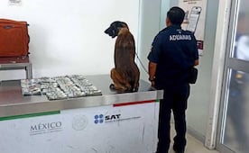 Dos mujeres y un hombre deberán enfrentar la justicia tras ser detenidos con más 365 mil dólares en Oaxaca