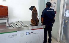 Dos mujeres y un hombre deberán enfrentar la justicia tras ser detenidos con más 365 mil dólares en Oaxaca