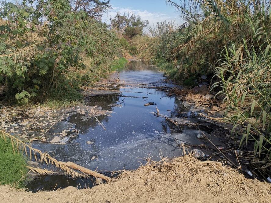 Gobierno de Oaxaca sólo pidió 132 mil pesos para sanear y rescatar los ríos Salado y Atoyac. Foto: Edwin Hernández