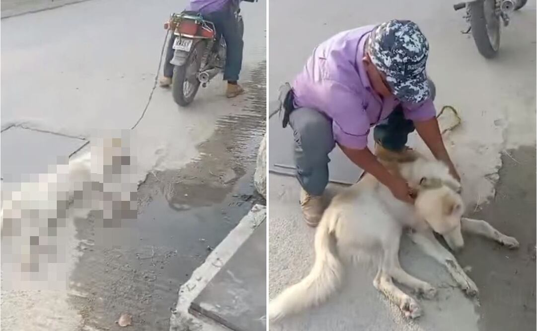 Denuncian nuevo caso de maltrato animal en Oaxaca: hombre arrastraba a lomito desde una moto. Tomada de video