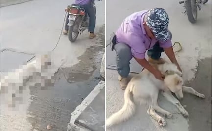 Denuncian nuevo caso de maltrato animal en Oaxaca: hombre arrastraba a lomito desde una moto