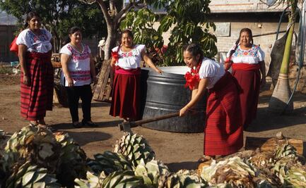 Las alquimistas que convirtieron la tragedia en mezcal artesanal de Matatlán, Oaxaca