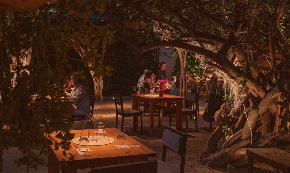 Oaxaca, líder en gastronomía, celebra a Alfonsina como el mejor restaurante sustentable. Foto: Alfonsina