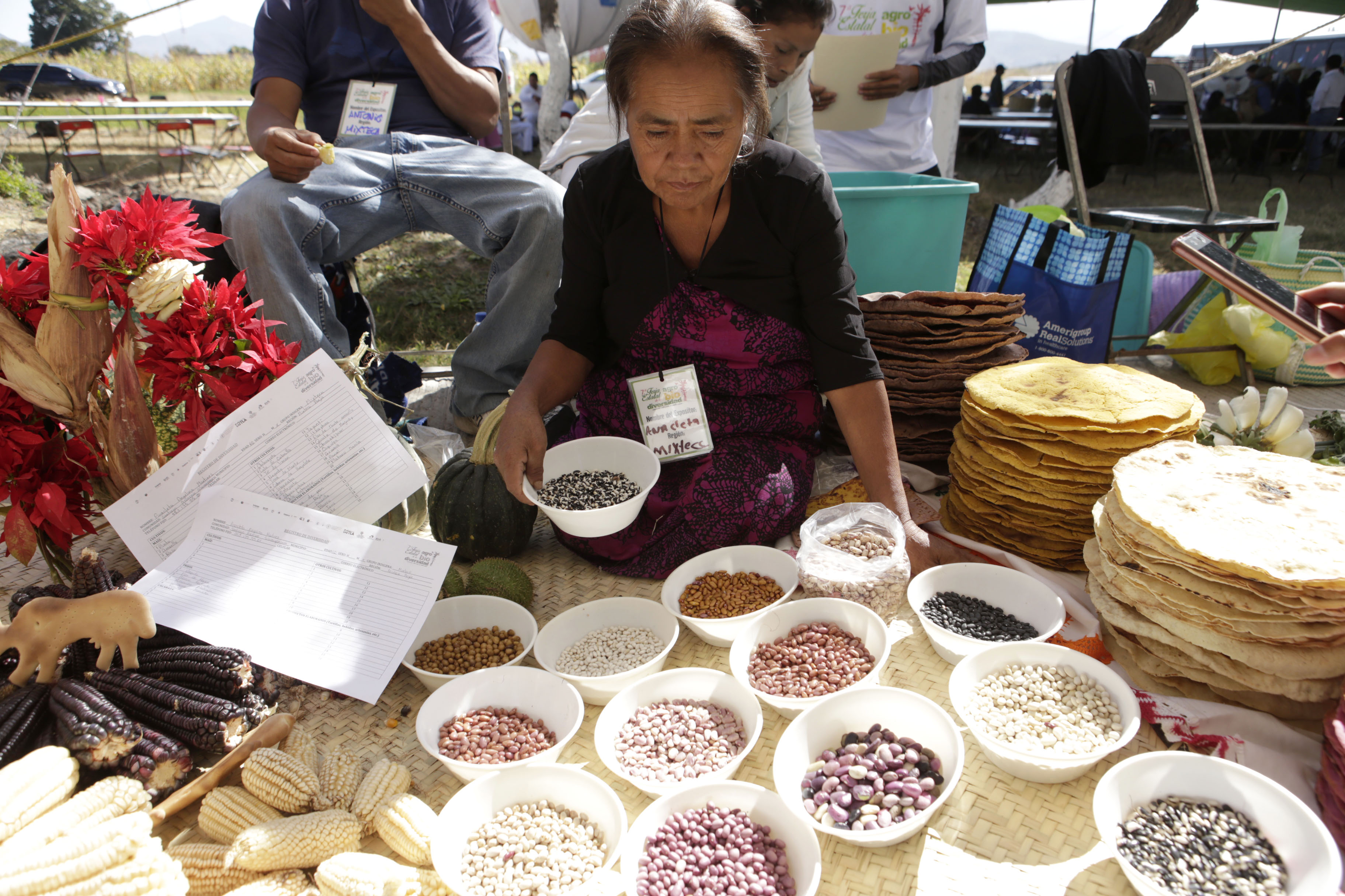 En amenaza, especies de frijol oaxaqueño