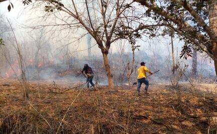 Reportan dos nuevos incendios activos en Los Chimalapas, Oaxaca