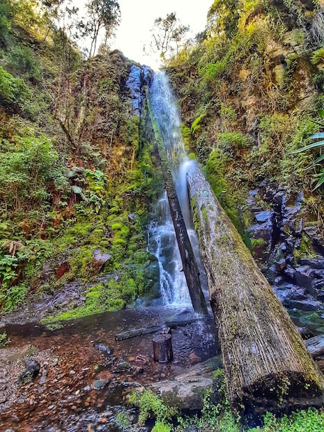 Cascada en el Santuario de las Aves en la Mixteca de Oaxaca. Foto: FB@JuvenTours Oaxaca