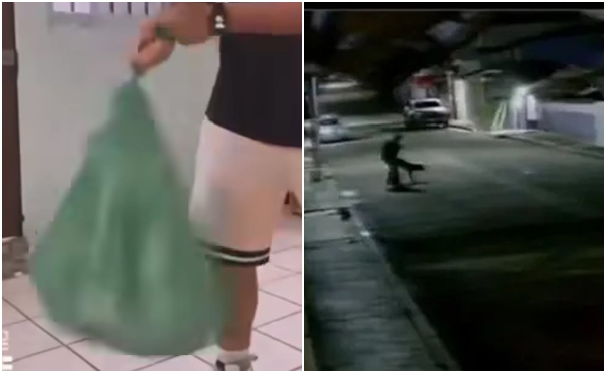 Casos de maltrato animal en municipios de Oaxaca. Fotos: Capturas de videos