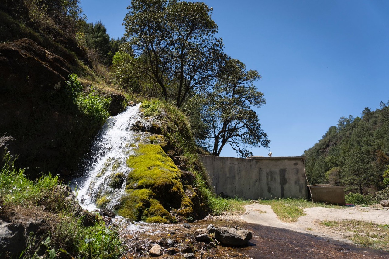 Fotos: Edwin Hernández