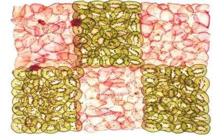 Food Art Week México presenta la exposición "Azúcar", en Oaxaca