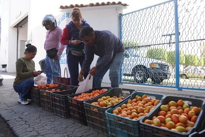 Municipio capitalino ignora peticiones de tomateros