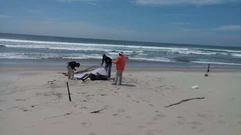 Recuperan en costas de Oaxaca cuerpo de migrante ahogado en naufragio; es el tercero