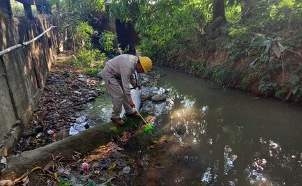 Confirma InDRE cinco casos de paludismo en el Istmo de Oaxaca
