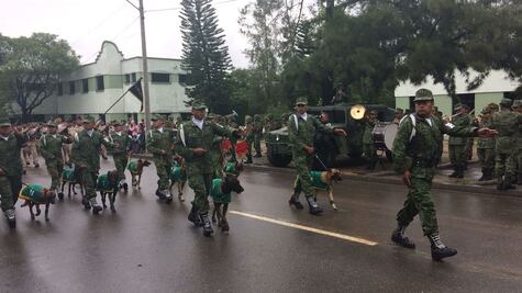 Identifica Sedena a 37 de los 46 fallecidos en el terremoto