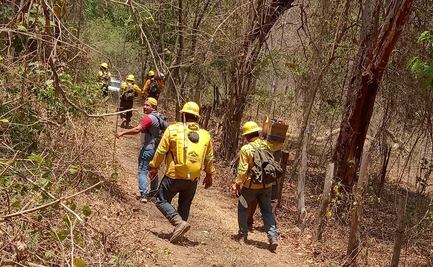 Reportan controlado al 100% incendio forestal entre Huatulco y San Miguel del Puerto, Oaxaca