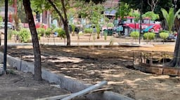 Denuncian que el ayuntamiento de Oaxaca de Juárez derribó árboles para construir un centro de calistenia 