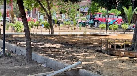Denuncian que el ayuntamiento de Oaxaca de Juárez derribó árboles para construir un centro de calistenia 