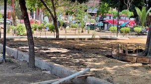 Denuncian que el ayuntamiento de Oaxaca de Juárez derribó árboles para construir un centro de calistenia