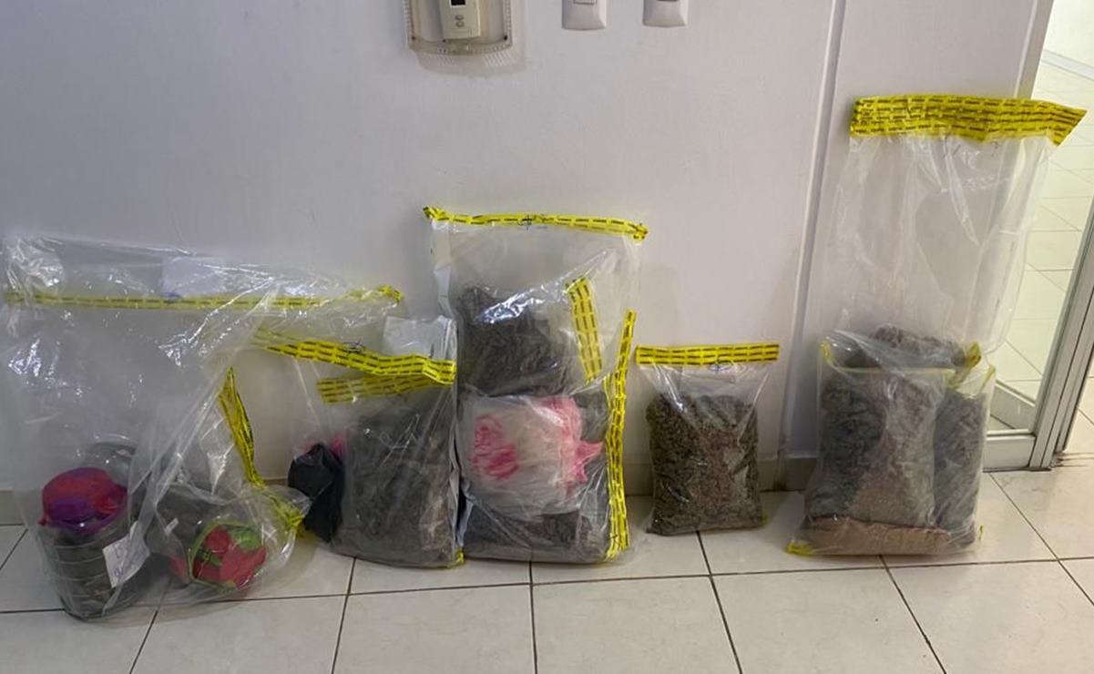 Aseguran dulces con marihuana en domicilio de la ciudad de Oaxaca; advierten riesgo para infancias