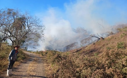 Reportan nuevo incendio forestal en San Miguel Chimalapa, Oaxaca; suman 3 siniestros en menos de 15 días