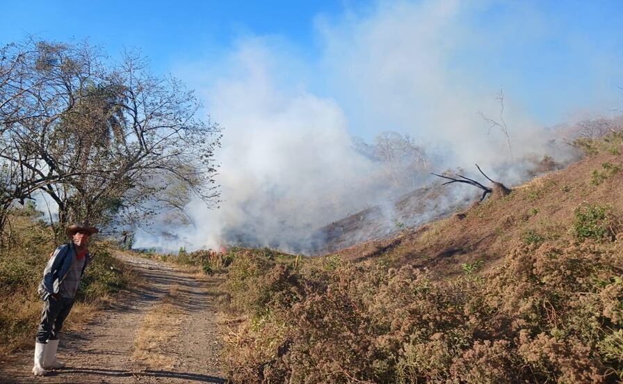 Reportan nuevo incendio forestal en San Miguel Chimalapa, Oaxaca; suman 3 siniestros en menos de 15 días