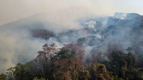 Arde Oaxaca: 12 incendios consumen bosques de los valles, sierras Norte y Sur, Mixteca, Costa…
